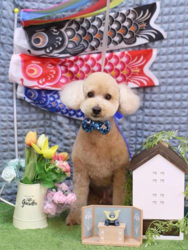 20230518モコくん